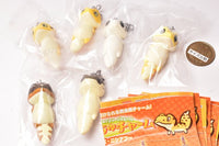 Hachu Hachu Charm Leopa Nisiaf [Normal 6 type set(Rare is NOT including)]