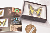 Science Technicolour German Box Magnet Collection Part.2 [10.Papilio machaon]