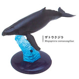 Nature Techni colour 400 Whale and Dolphin [1.Humpback whale]