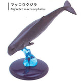 Nature Techni colour 400 Whale and Dolphin [2.Sperm whale]