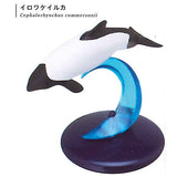 Nature Techni colour 400 Whale and Dolphin [5.Commerson's dolphin]