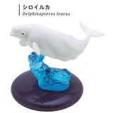 Nature Techni colour 400 Whale and Dolphin [6.Beluga whale]