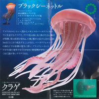 Nature Techni colour Jellyfish LED Light Collection [4.Black Sea Nettle]