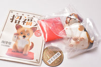 Capsule Q Museum Kunio Sato's Lucky Dog Vol.2 [2.Beagle (Mubyosokusai)]