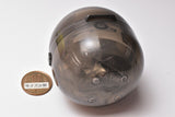 Hobby Gacha Toyota 2000GT Collectable Minicar [4.Toyota 2000GT (Thunder Silver Metallic)]