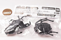 Konchuu no Mori INSECT WARS [3.Camponotus japonicus]