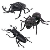 Konchuu no Mori INSECT WARS [Assorted 3 type set (1.Beetle/2.Girafanokogirikuwagata/3.Camponotus japonicus)]