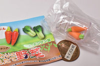 Real miniature Freshly picked vegetables [1.Carrot]