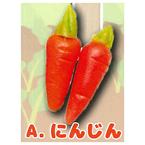 Real miniature Freshly picked vegetables [1.Carrot]