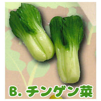 Real miniature Freshly picked vegetables [2.Bok choy]