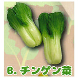 Real miniature Freshly picked vegetables [2.Bok choy]