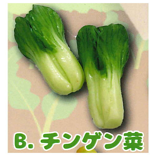 Real miniature Freshly picked vegetables [2.Bok choy]