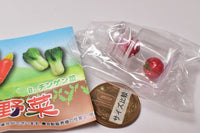 Real miniature Freshly picked vegetables [4.Tomato]