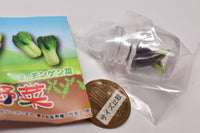 Real miniature Freshly picked vegetables [5.Eggplant]
