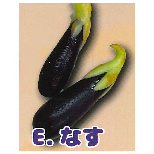 Real miniature Freshly picked vegetables [5.Eggplant]