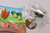 Real miniature Freshly picked vegetables [6.Cucumber]