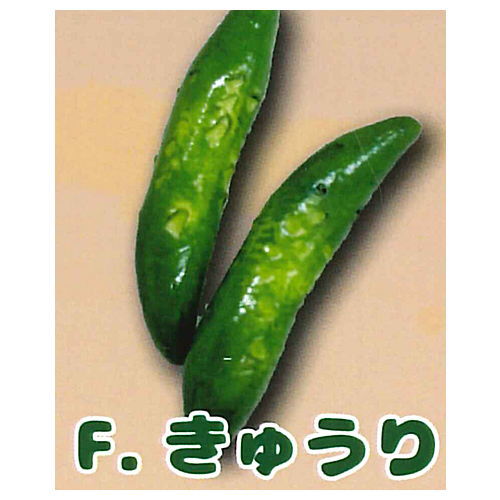 Real miniature Freshly picked vegetables [6.Cucumber]