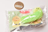 Tsuburanahitomino Osozai petit AM10:00 [2.Edamame]