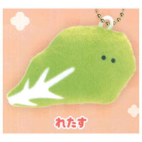 Tsuburanahitomino Osozai petit PM5:00 [4.Lettuce]