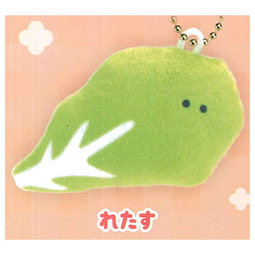 Tsuburanahitomino Osozai petit PM5:00 [4.Lettuce]