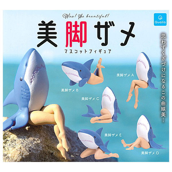 セール中　SHARK 豪華版　初回限定生産　5枚組　レア Amazon.co.jp: SHARK ~2nd Season~ Blu-ray BOX 豪華版(初回限定
