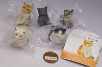 Hashimoto Mio Cat Carving [All 5 type set(Full Complete)]