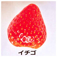 T-shirt with cute toppings Nosenose Necklace [2.Strawberry]