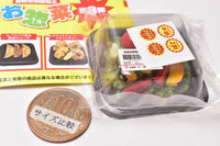 Super Precision Resin Clay Souzai Part.3 in clear case [3.Salad]