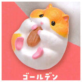 Hagyutto hamster [1.Golden]