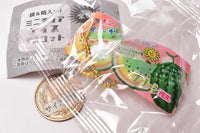 In a bag & box! Miniature ice mascot [5.Watermelon ice bar green ver.]