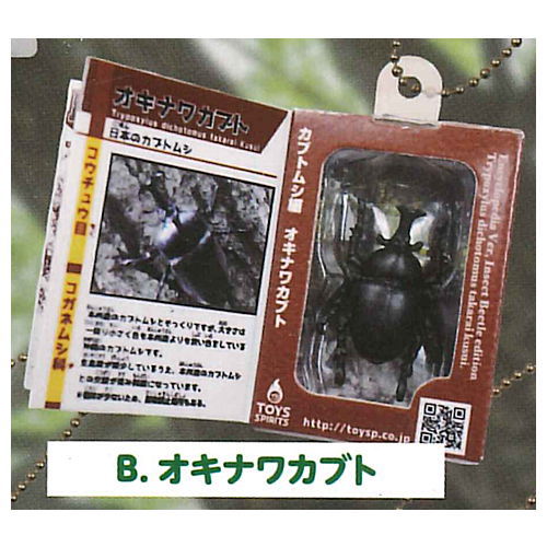 THE Insect Encyclopedia Mascot with Specimen (Beetle Edition) [2.Okinawa Kabuto]