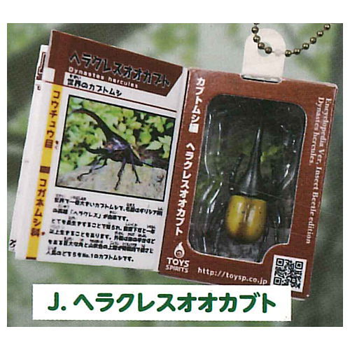 THE Insect Encyclopedia Mascot with Specimen (Beetle Edition) [10.Hercules beetle]