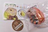 Green iguana, giant gecko and tokay gecko mascot ball chain [2.Green iguana (red)]