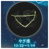 12 Constellation Clear Light Vol.2 [4.Capricorn]