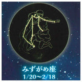 12 Constellation Clear Light Vol.2 [5.Aquarius]
