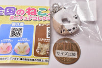 All Japan Cat Sweets Miniature Collection Vol.1 [1.Floresta Animal Donut Mike]