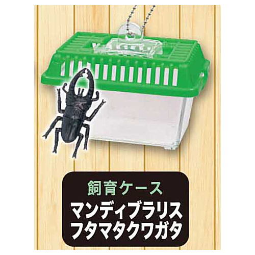 Real! Konchu Mushikago Mascot Ball chain Part.6 [6.Breeding Case / Green Mandy Bralis Futamata Kuwagata]