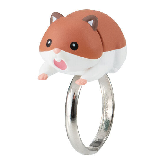 Ringcolle! Gaburing [3.Roborovski hamster]