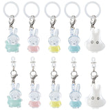 Mejirushi Accessory miffy pastel color [All 10 type set (Full Complete)]