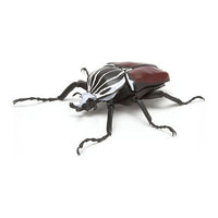 Beetle Gashapon 03 [1.Goliath beetle]