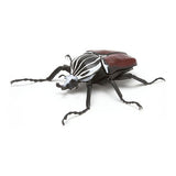 Beetle Gashapon 03 [1.Goliath beetle]