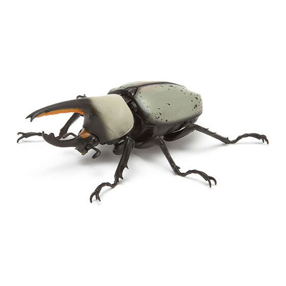 Beetle Gashapon 03 [3.Grant White Kabuto (White)]