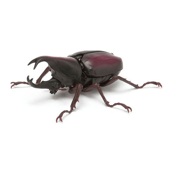 Beetle Gashapon 03 [5.Xylotrupes (Reddish brown)]