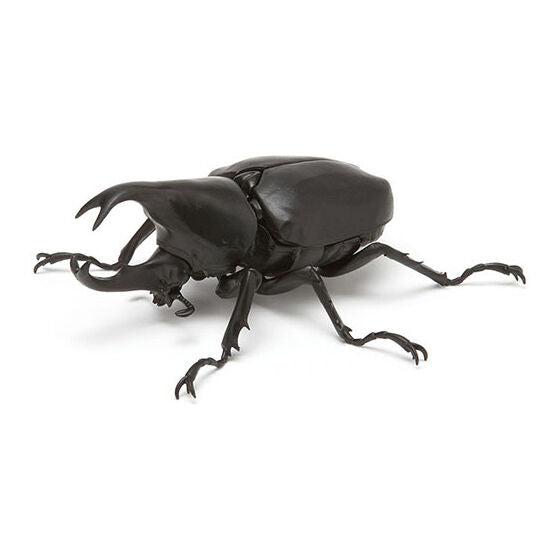 Beetle Gashapon 03 [6.Xylotrupes (Black)]