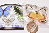 Science Techni colour Private specimen of Lepidopteran Acrylic Mascot Part.3 [7.Delias fasciata]