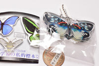 Science Techni colour Private specimen of Lepidopteran Acrylic Mascot Part.3 [9.Erasmia pulchella nipponica]