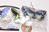 Science Techni colour Private specimen of Lepidopteran Acrylic Mascot Part.3 [9.Erasmia pulchella nipponica]