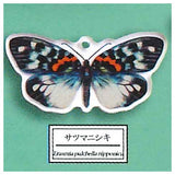 Science Techni colour Private specimen of Lepidopteran Acrylic Mascot Part.3 [9.Erasmia pulchella nipponica]