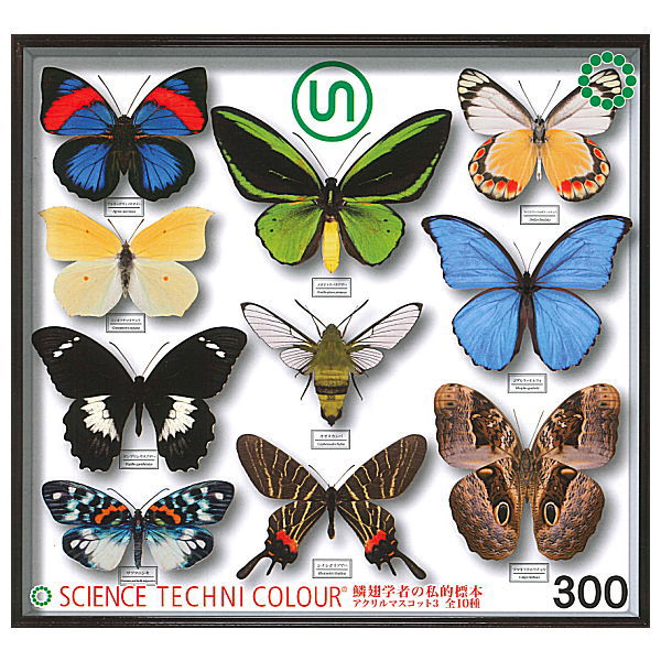 Science Techni colour Private specimen of Lepidopteran Acrylic Mascot Part.3 [All 10 type set(Full Complete)]