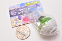 Sharishari shaved ice [5.Matcha Azuki]